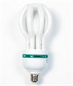 Image de LIGHT BULB