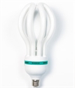 Image de LIGHT BULB