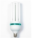 Image de LIGHT BULB