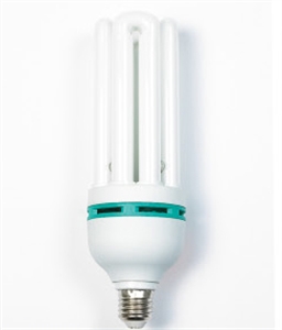 Picture of LIGHT BULB