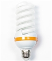 Image de LIGHT BULB