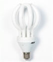 Image de LIGHT BULB