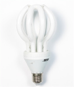 Image de LIGHT BULB