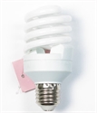 Image de LIGHT BULB