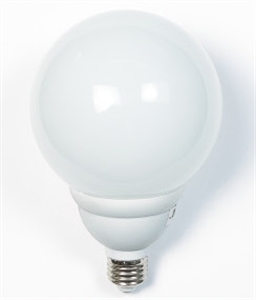 LIGHT BULB