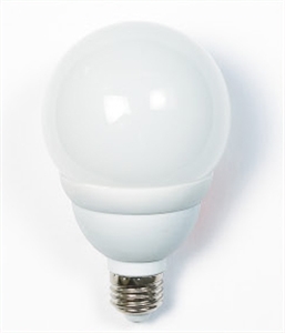 LIGHT BULB