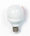 Image de LIGHT BULB