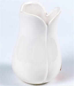 Image de MILK BOTTLE