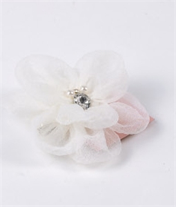 Picture of FLOWER HEAD