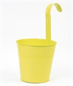 Image de FLOWER POT