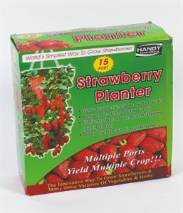 Strawberry Planter