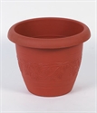 Image de FLOWER POT