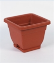Image de FLOWER POT