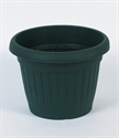 Image de FLOWER POT