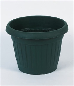 FLOWER POT