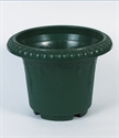 Image de FLOWER POT