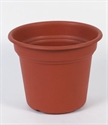Image de flowerpot