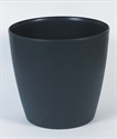 Image de FLOWER POT