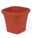 Image de FLOWER POT
