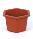 Image de FLOWER POT