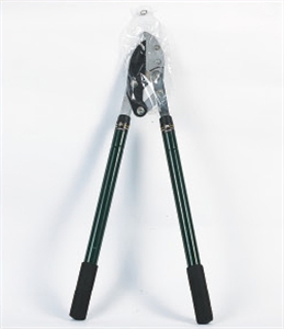 Image de PRUNING SHEARS