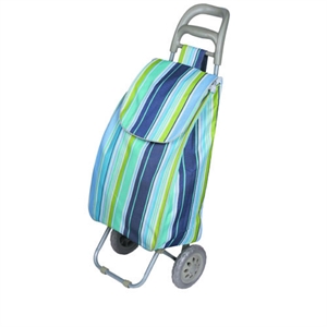 Picture of Shopping trolley bag XY-404B2